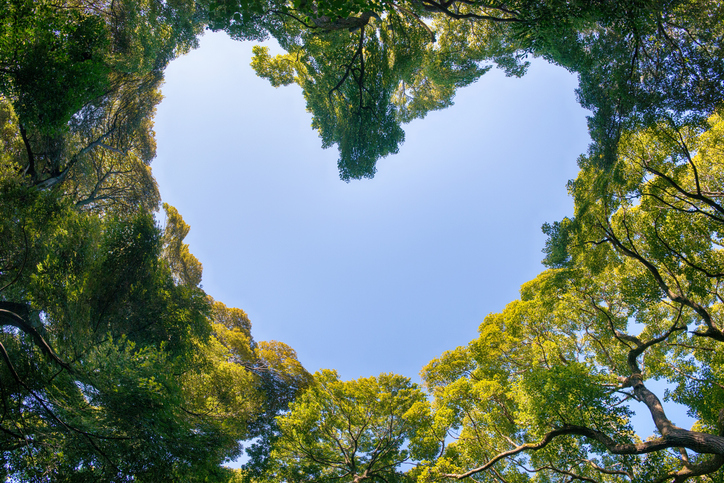 Sustainability in Action: Celebrating Earth Day Every Day at Lazy Acres Market 