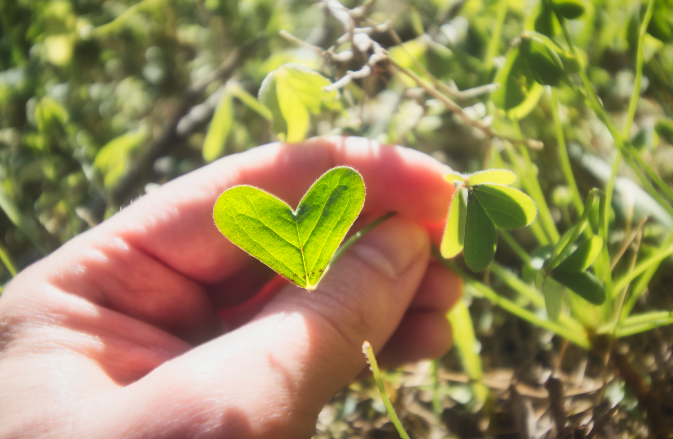 Earth-Loving Practices 